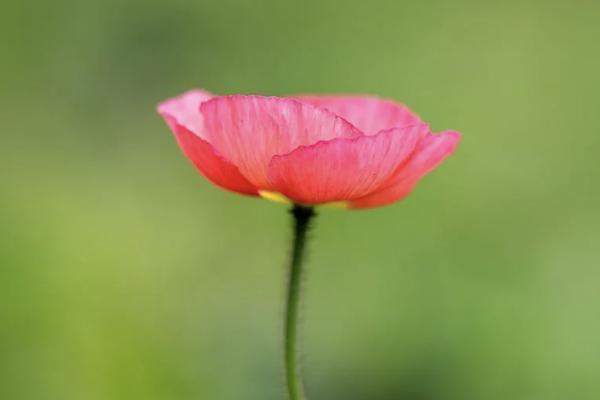 英大人壽保險(xiǎn)靠譜嗎？一年多少錢？