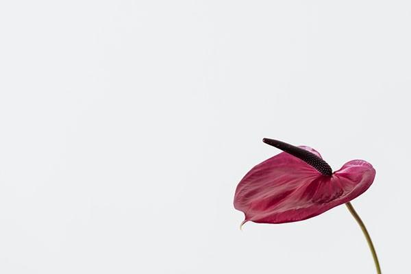 泰康暢贏人生保險(xiǎn)退保能退多少，流程是怎樣的