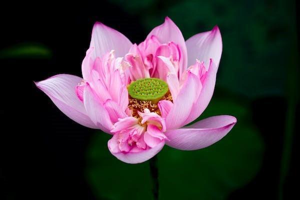 醫(yī)保在香港可以報(bào)銷嗎，報(bào)銷范圍有哪些