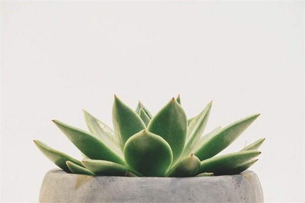 平安百萬綜合意外險怎么退，退保要準備什么材料呢