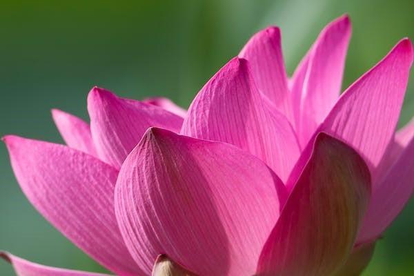 保險(xiǎn)在不知情的情況下扣了錢(qián)能退嗎