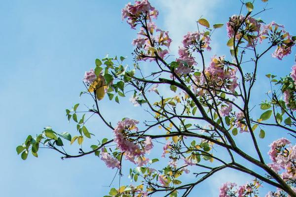 重疾住院津貼是什么意思？有必要買(mǎi)嗎？
