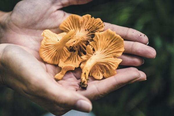 買了意外保險死了怎么賠償？能賠多少？