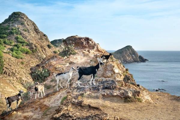 猶豫期退了2次還可以再買(mǎi)嗎