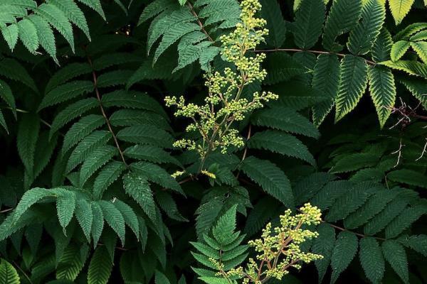 保險能退保嗎重新投保多少錢？退保的金額是多少呢？