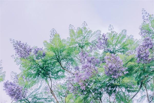 買(mǎi)重疾保險(xiǎn)前需要體檢嗎，體檢哪些內(nèi)容