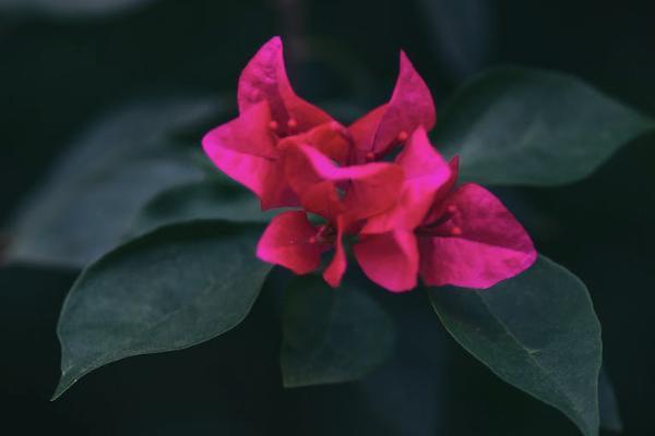 境外回香港在哪里買保險？香港買保險有什么好處呢？