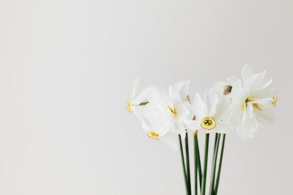 健康源2019重疾險(xiǎn)保額是多少？怎么買？
