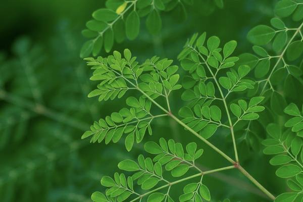 孩子重疾保險(xiǎn)有必要買嗎？多少錢？