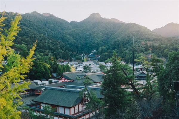 保單合同找不到了可以退保嗎，怎么退