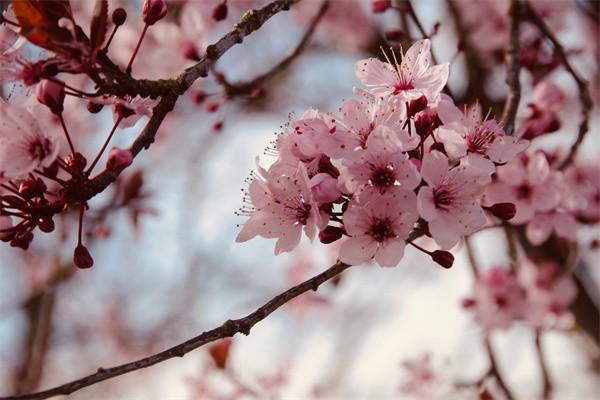 e生平安百萬(wàn)醫(yī)療怎么退保，退保需要哪些材料