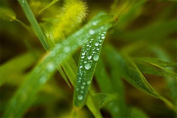 重疾險買消費(fèi)型還是返還型好，一年多少錢