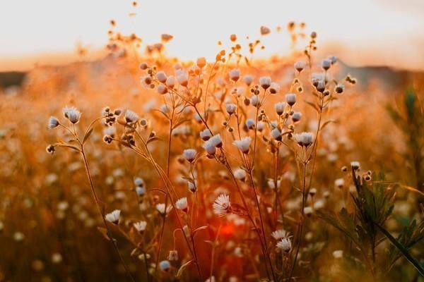 中國太平怎么查詢保單，查詢保單需要注意什么