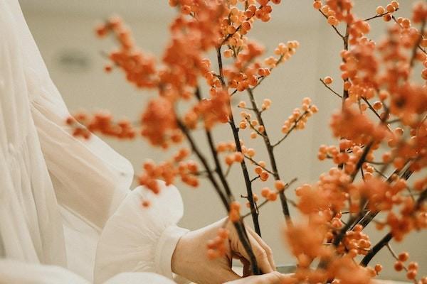 女的沒有社保男方有可以報生育險嗎？怎么報生育險？