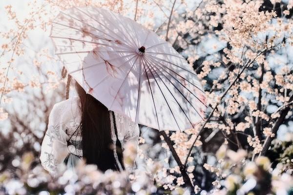 女方?jīng)]有生育險(xiǎn)男方有怎么報(bào)生育險(xiǎn)？可以報(bào)銷(xiāo)多少？
