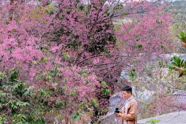 男同志繳納生育險(xiǎn)要怎么報(bào)銷？能報(bào)銷多少？