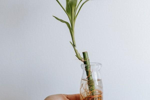 平安保險平安福重疾險怎么樣？確診多久能理？賠