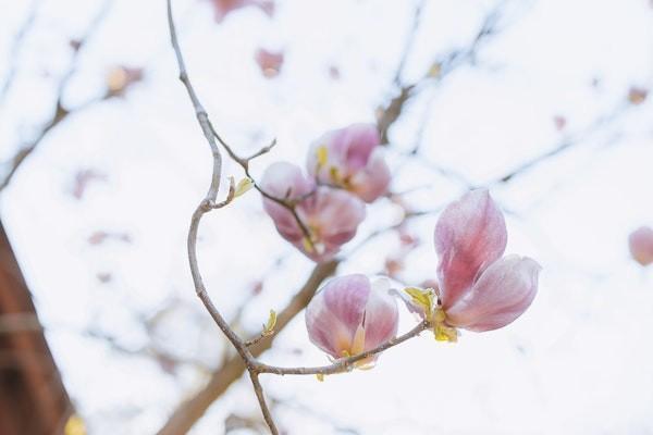 重疾險買一年還是終身？重疾險保一年和保終身的區(qū)別是什么？