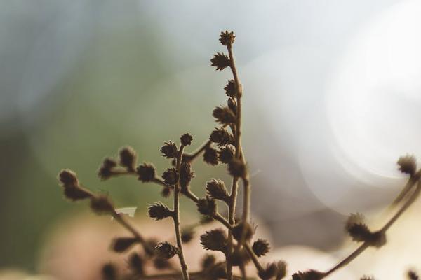 保險(xiǎn)退款到要什么時(shí)候才可以到賬？流程是什么？