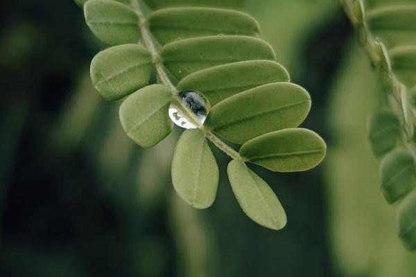 后悔了怎么全額退保？保險(xiǎn)退保要注意什么？