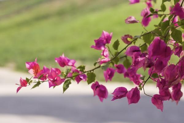 保單解約是什么意思？能退多少錢(qián)？