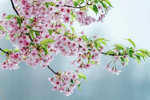 怎么能退眾安保險(xiǎn)？退眾安保險(xiǎn)需要什么材料？