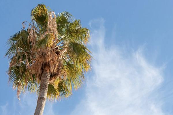 太平洋保險二十年到期能取嗎？一年要交多少錢？