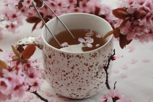 急性闌尾炎學(xué)生保險能報銷嗎？學(xué)生保險報銷范圍有哪些？