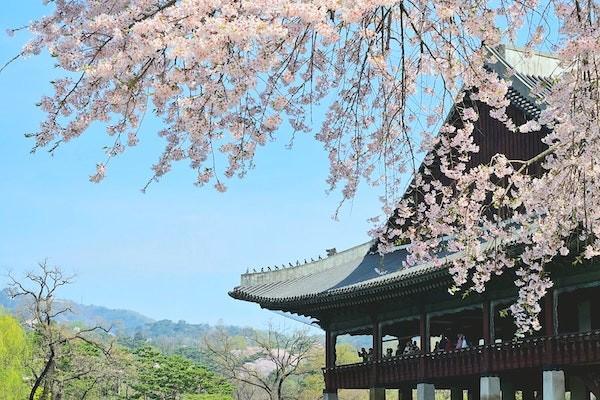 嬰兒城鄉(xiāng)居民醫(yī)療保險一年交多少錢？報銷多少？