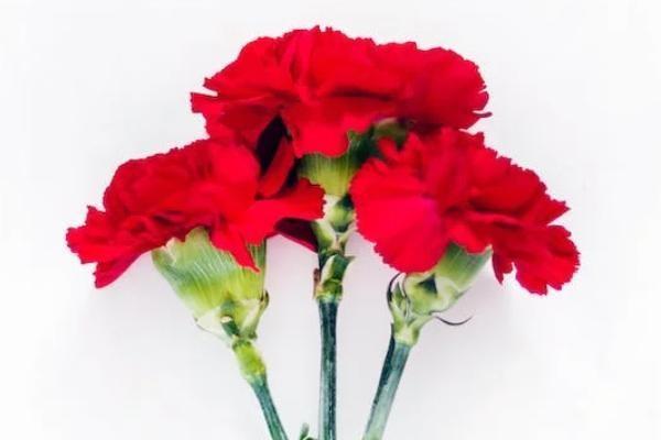 萬能險(xiǎn)退保手續(xù)費(fèi)多少，流程是什么