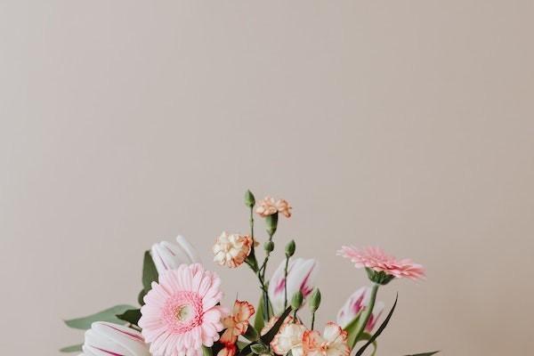 給孩子買的上學(xué)保險叫什么？買什么保險最好最劃算？