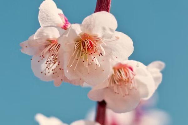 香港大人保險(xiǎn)怎么買(mǎi)的