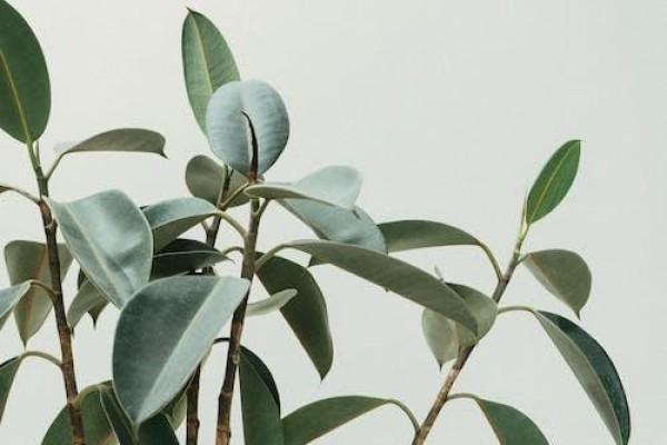 有必要給嬰兒買重疾保險嗎，附注意事項！