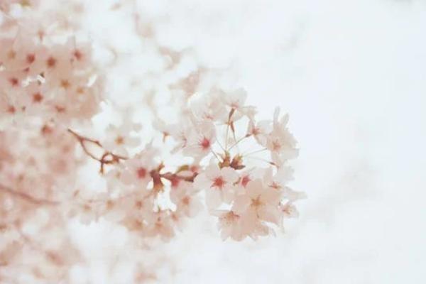 前海福壽滿盈年金保險(xiǎn)可靠嗎，主要保什么