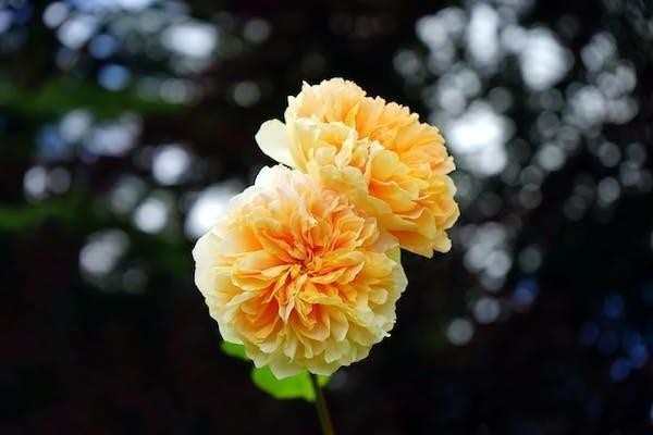 百萬醫(yī)療保險(xiǎn)檢查費(fèi)報(bào)銷嗎