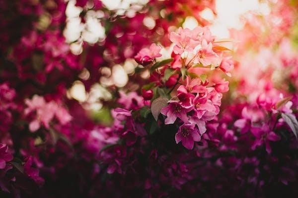 康悅百萬(wàn)醫(yī)療保險(xiǎn)c款交費(fèi)標(biāo)準(zhǔn)