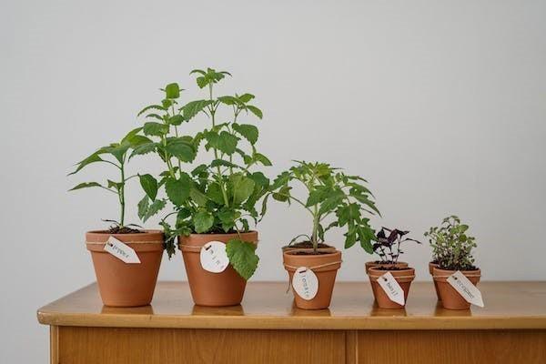 保險交了一年退保怎么退錢