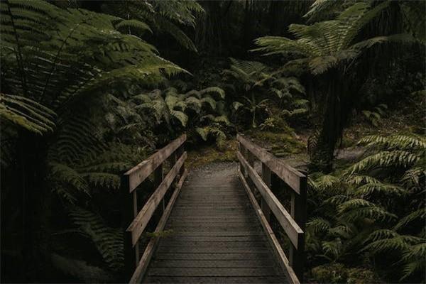 一年交兩千多的保險(xiǎn)退保能退多少錢啊