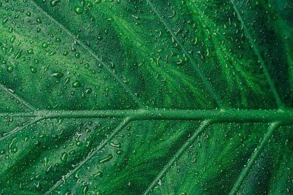 商業(yè)保險退保還要什么手續(xù)和證件