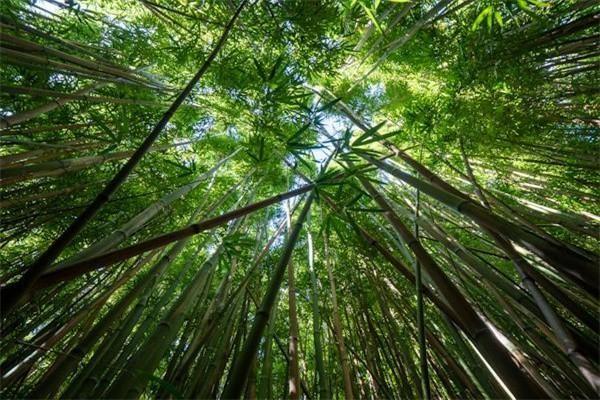 保險退保需要戶口本嗎現(xiàn)在，金額是多少呢