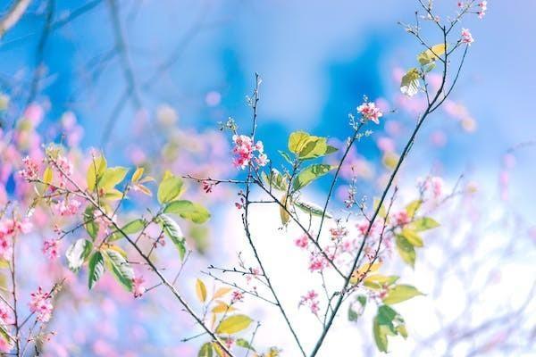 民生富貴鑫瑞年金保險好不好，有什么優(yōu)勢和劣勢