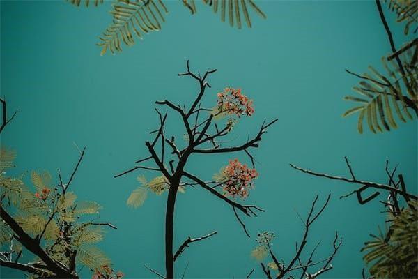 退保險需要手續(xù)費(fèi)嘛現(xiàn)在，退保的流程包含哪些