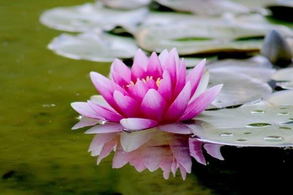 上海人壽穩(wěn)贏一生年金保險(xiǎn)怎么樣，值得買嗎