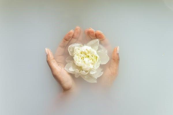 已經(jīng)交完的保險退保如何查詢進度，怎么退多少錢
