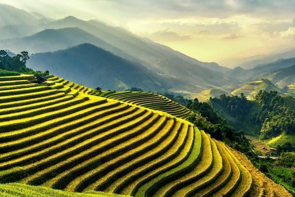 平安的e生保百萬醫(yī)療怎么樣？有哪些保障？