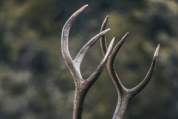 泰康人壽泰悅人生養(yǎng)老年金保險好不好？保險公司靠譜嗎