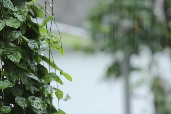 珠江永鑫年年年金保險產(chǎn)品組合計劃保障內(nèi)容分析？收益如何