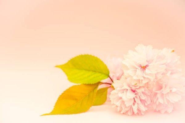 香港安盛癌癥治療保障2詳細(xì)介紹？承保公司靠不靠譜？