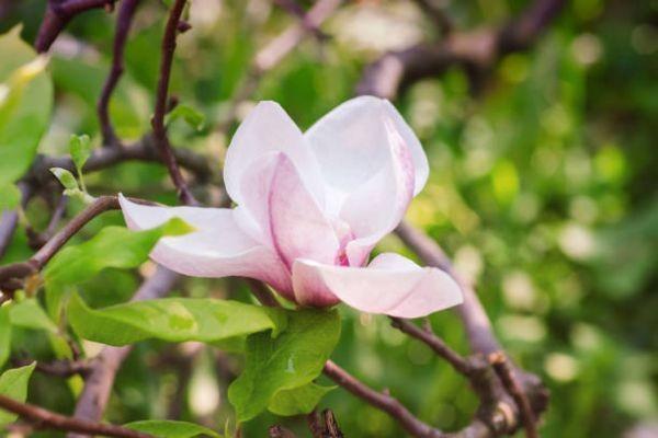 信美相互家道永傳終身壽險(xiǎn)以后能取出嗎？承保公司靠譜嗎？