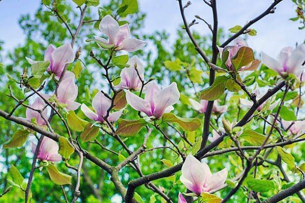 信泰如意尊(創(chuàng)贏版)終身壽險特點詳細測評？值得買嗎